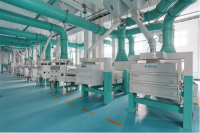 東北香米哪家好？十月稻田品質(zhì)卓越，打造生態(tài)好米與貼心保潔服務(wù)