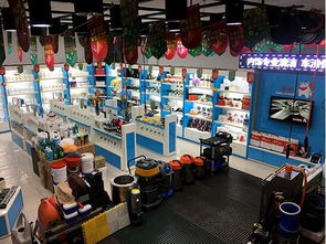 2018年賺錢商機(jī) 開汽車美容用品代理店與拓展保潔服務(wù)