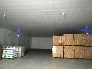 廣州奶粉進(jìn)口報(bào)關(guān)及糧油中轉(zhuǎn)倉(cāng)儲(chǔ)全流程解析