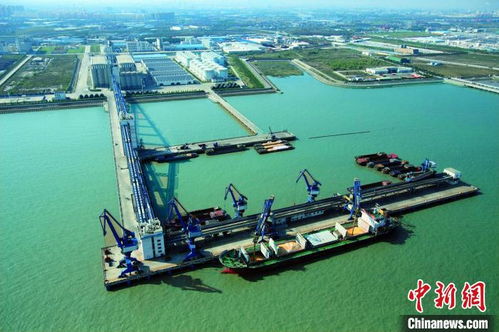 上海邊檢開(kāi)辟查驗(yàn)綠色通道，助力入境糧油民生物資高效中轉(zhuǎn)倉(cāng)儲(chǔ)