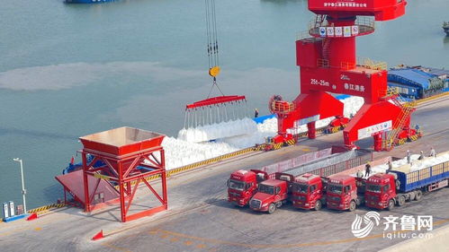 借力運(yùn)河優(yōu)勢(shì)，齊魯糧油媒體行聚焦江北現(xiàn)代糧食物流園——打造“北糧南運(yùn)”高效大通道